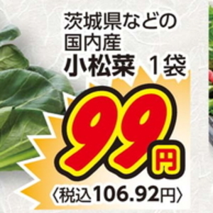こまつ菜