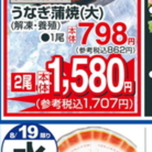 うなぎの蒲焼き