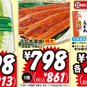 うなぎの蒲焼き