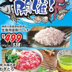 しらす