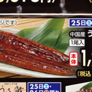 うなぎの蒲焼き