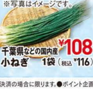 小葱