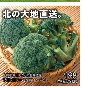 ブロッコリー
