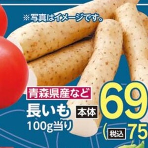 ながいも