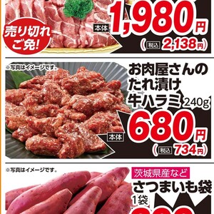 牛肉ハラミ