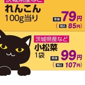 こまつ菜