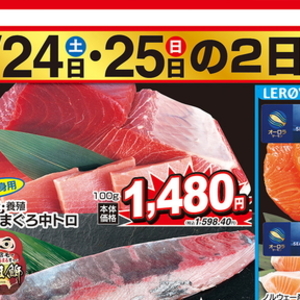 まぐろ中とろ