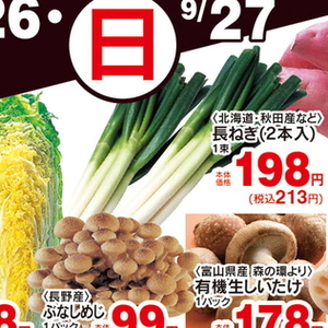 ながねぎ