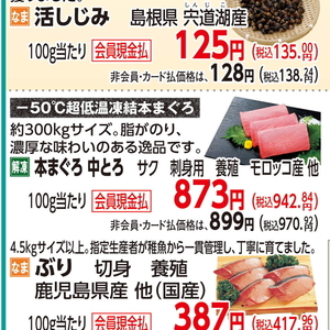 まぐろ中とろ