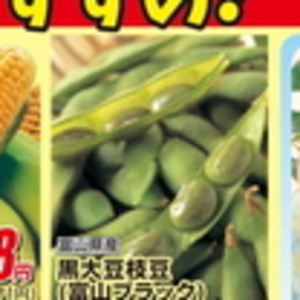 えだまめ