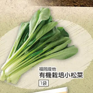 こまつ菜