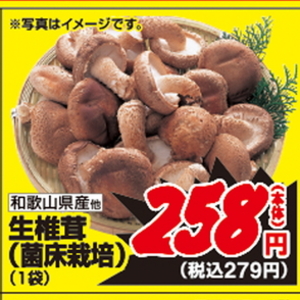 しいたけ