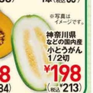冬瓜