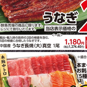 うなぎの蒲焼き