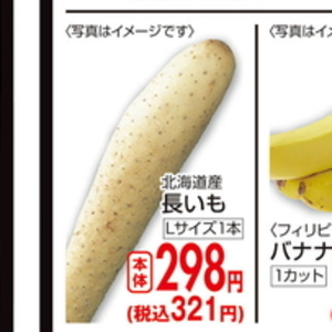 ながいも