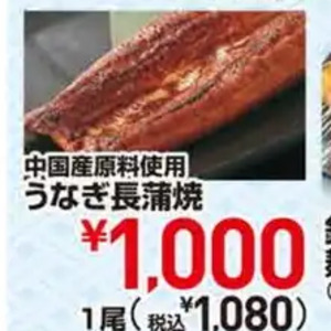 うなぎの蒲焼き