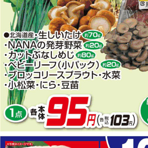 ブロッコリースプラウト