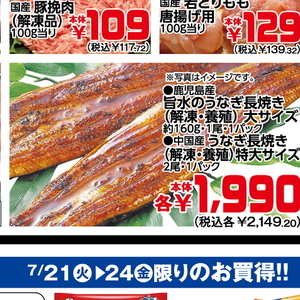 うなぎの蒲焼き