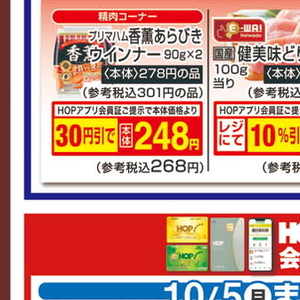 うなぎの蒲焼き