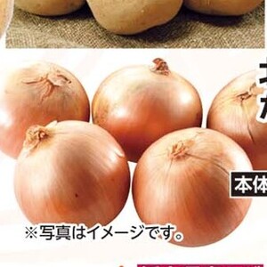 たまねぎ