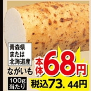 ながいも