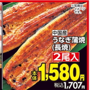 うなぎの蒲焼き