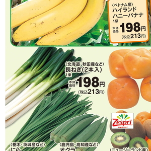 ながねぎ