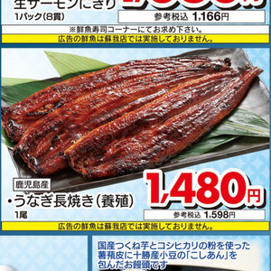 うなぎの蒲焼き