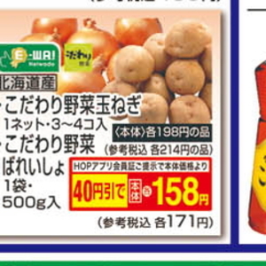 たまねぎ