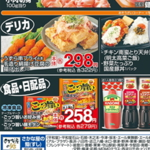 鶏手羽元