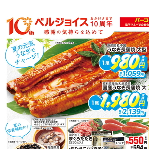 うなぎの蒲焼き