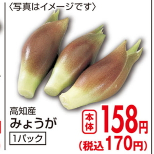 みょうが