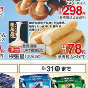 ながねぎ