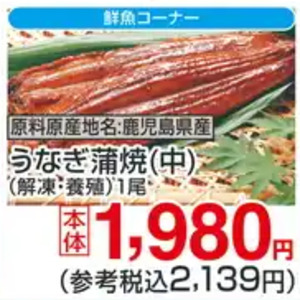 うなぎの蒲焼き