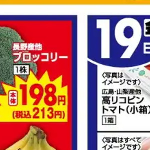 ブロッコリー