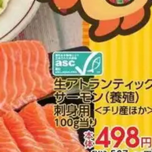うなぎの蒲焼き