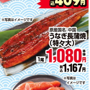 うなぎの蒲焼き