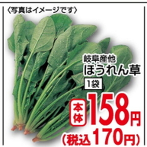 ほうれん草