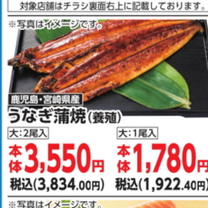 うなぎの蒲焼き