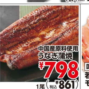 うなぎの蒲焼き