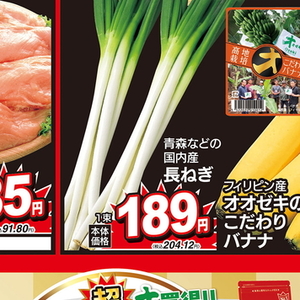 ながねぎ