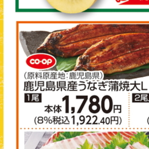 うなぎの蒲焼き
