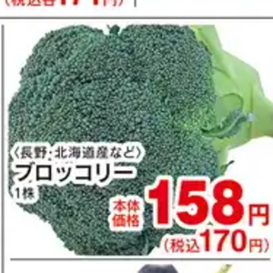 ブロッコリー
