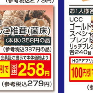しいたけ