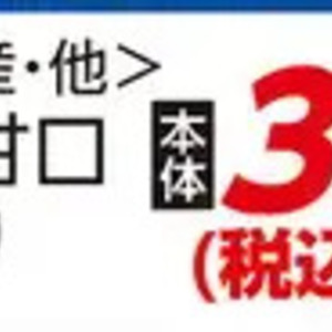 さけ（切り身）
