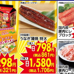 うなぎの蒲焼き