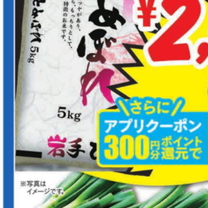ながねぎ