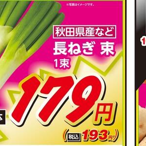 ながねぎ
