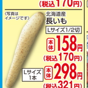 ながいも