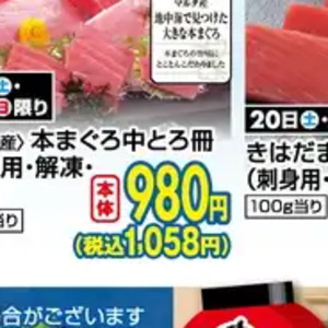 まぐろ中とろ
